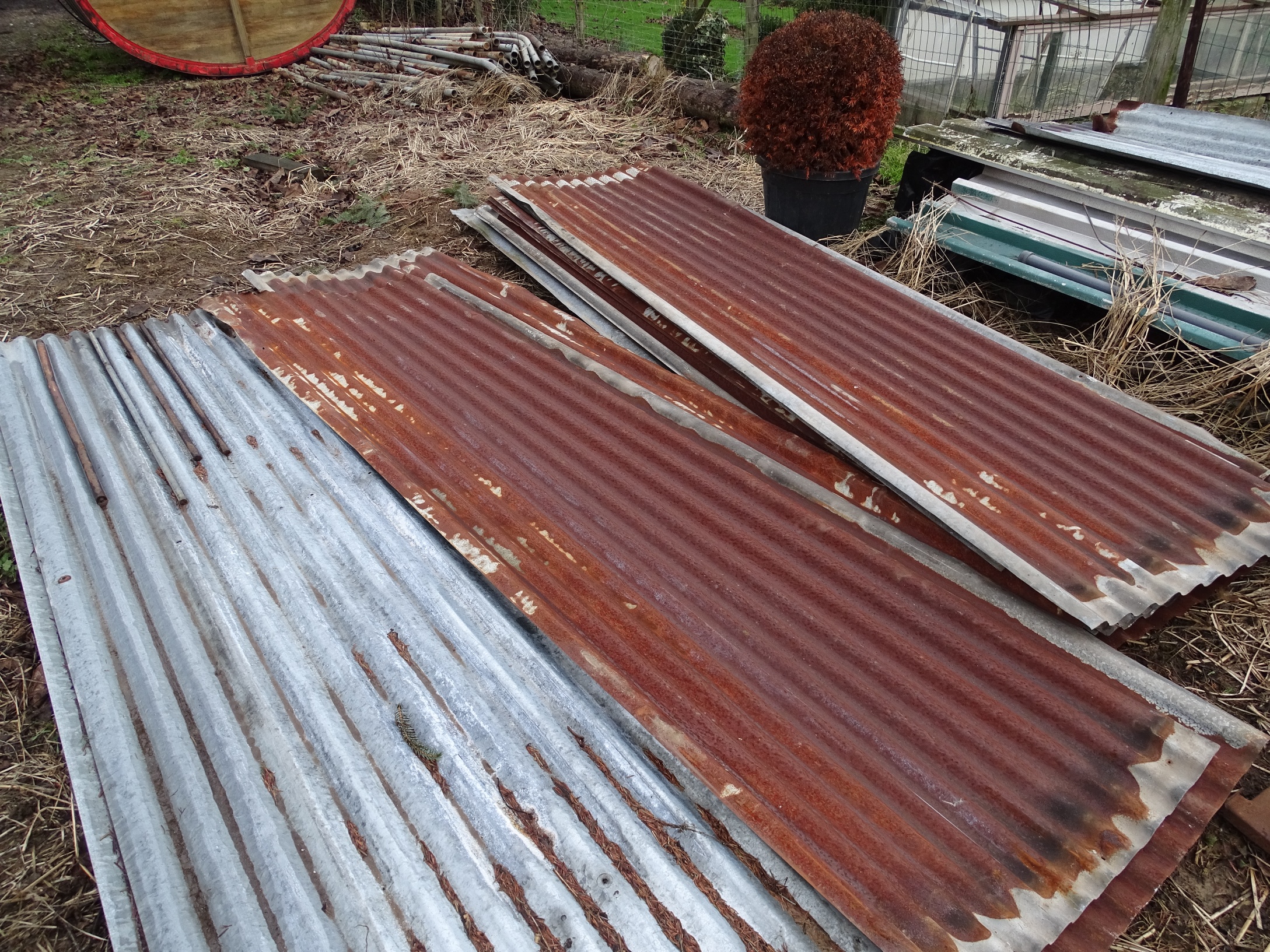 Zeemeeuw gevogelte binding oude ijzeren golfplaten dakplaten platen wandplaten - Brocante De Vreemde  Eend